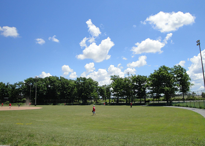 Put your brand in the spotlight on our local fields